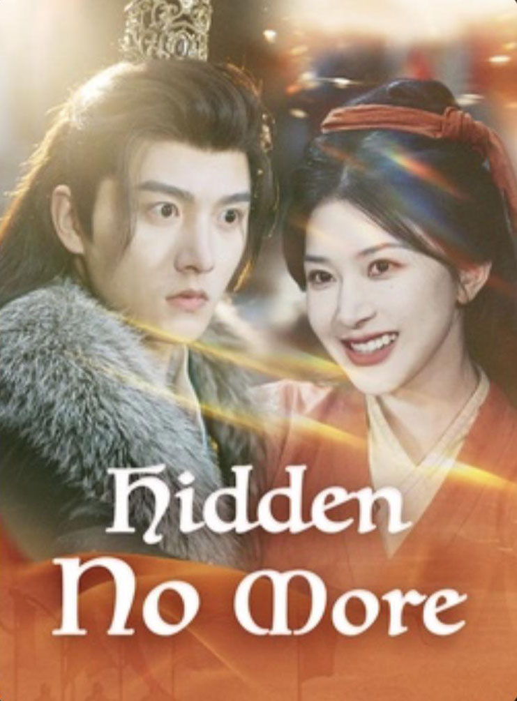 Hidden no more tv-series-poster-1